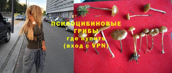 амф Абдулино