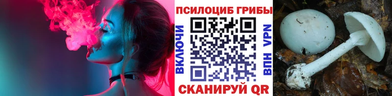 Галлюциногенные грибы GOLDEN TEACHER  купить  сайты  Адыгейск 
