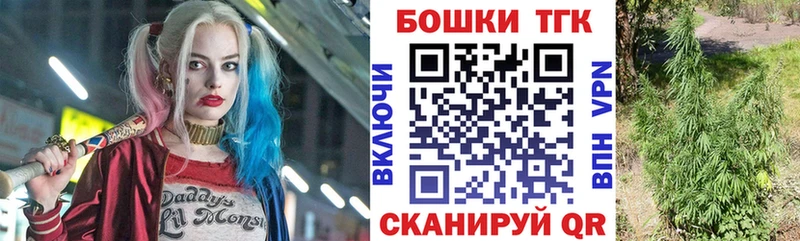 цена   Адыгейск  Бошки марихуана OG Kush 